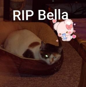 Meet your Posher, Janet